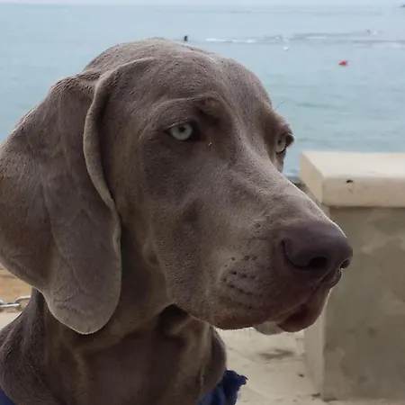 Pensión Lo Scalo 2.0 Marina di Ragusa