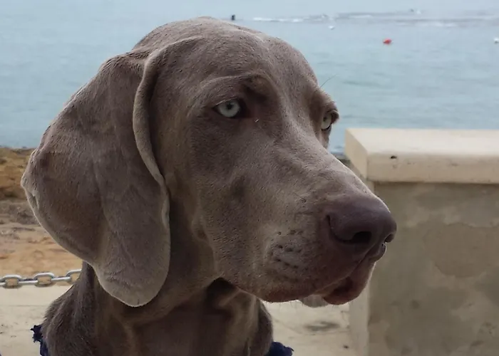 Pensión Lo Scalo 2.0 Marina di Ragusa