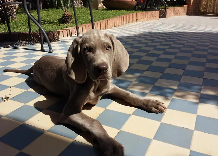 Pensión Lo Scalo 2.0